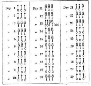 The Egyptian Month of Thoth.