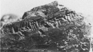 Inscription on the right side of ND 8181 (IM 61854), British School of Archeology in Iraq, photograph by David A. Loggie. Plate XIb. Green states that the "inscription corresponds well with that prescribed for figures of the ugallu in the ritual."