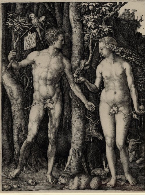 Albrecht Dürer (1471-1528), Adam and Eve, dated 1504, currently held in the British Museum (1868,0822.167).<br /> At top left on the plate, it states: "ALBERT DVRER NORICVS FACIEBAT AD 1504."<br /> Which means: "Albrecht Dürer of Nuremberg made this 1504."<br /> https://commons.wikimedia.org/wiki/File:Adam_and_Eve_standing_on_either_side_of_the_tree_of_knowledge_with_the_serpent_by_Albrecht_Dürer.jpg