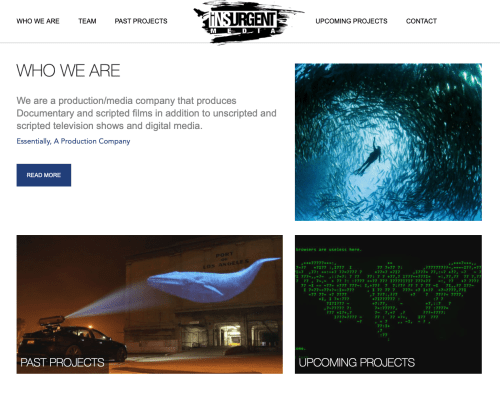 Cicada Insurgent Media Upcoming Projects 8-2-2019