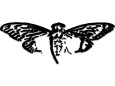 Cicada Lestat Logo Transparent