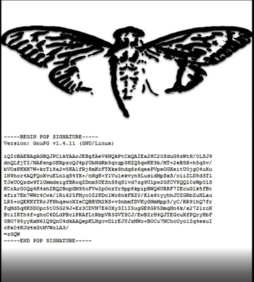 Q Cicada PGP Key