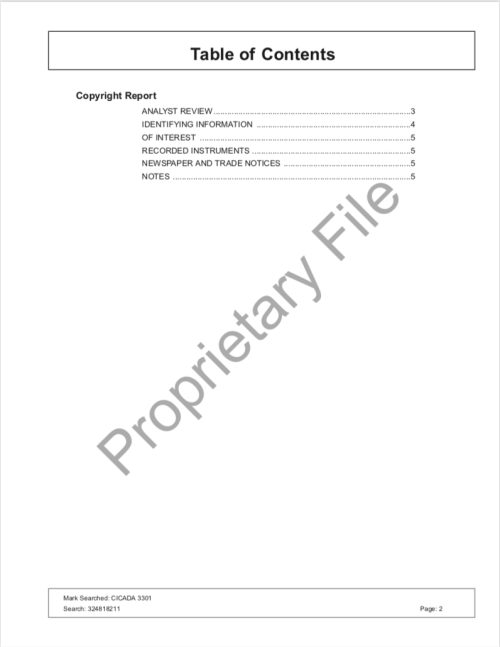 Cicada 3301 Copyright Research Report SONY Levine Lech CompuMark p.2