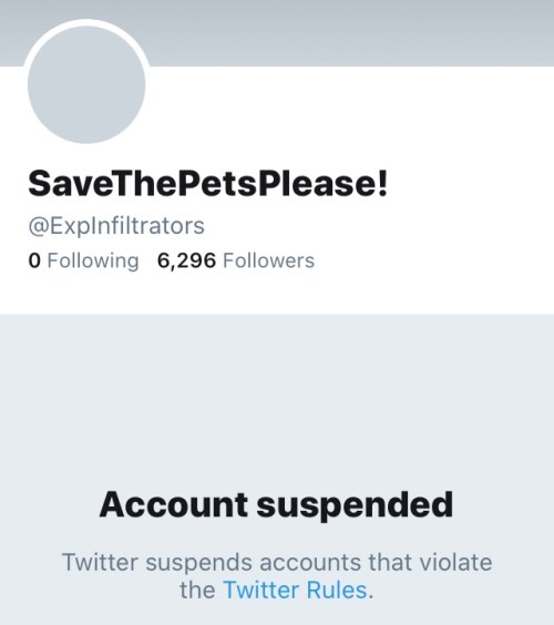 ExpInfiltrators Twitter Thomas Schoenberger Account Suspended No Date