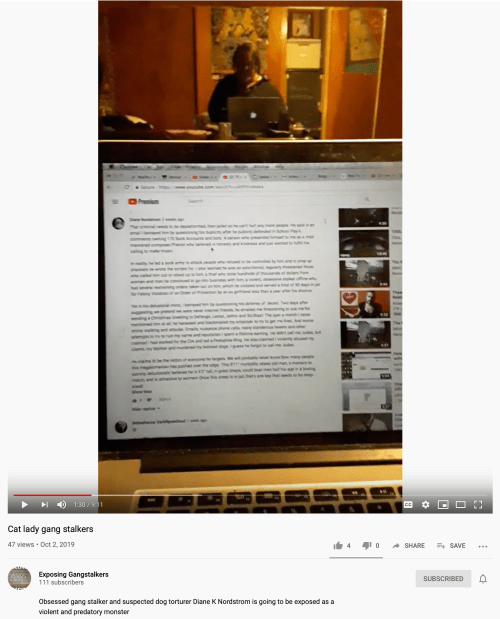 TS Nailed in the Mirror 1-30 mark YT Video Cat lady gang stalkers Oct 2 2019