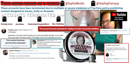 TS YT Channels Struck Hate Speech Twitter Accounts Butt Hurt Meme Bump Ahead Dec 23 2019.png